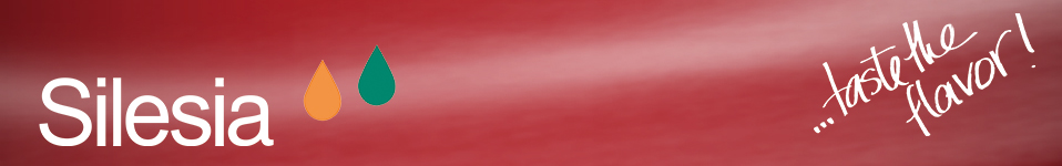 Silesia Gerhard Hanke GmbH & Co. KG