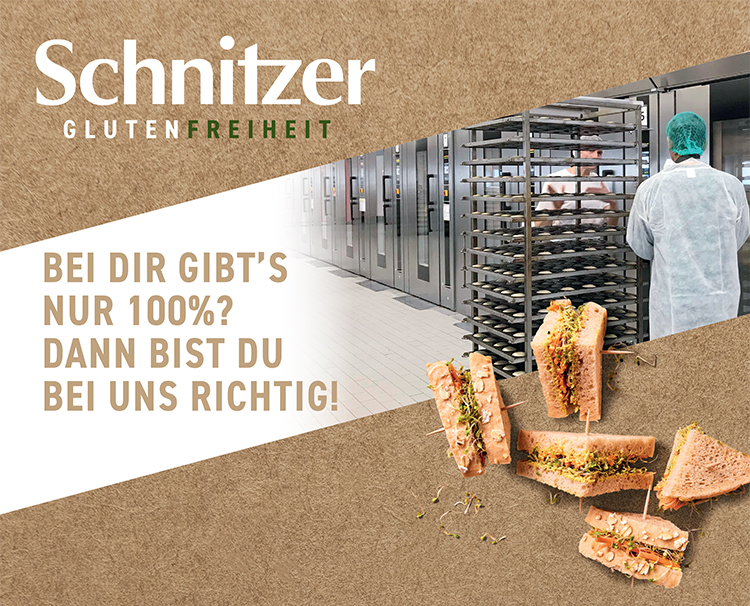 Schnitzer Produktions GmbH