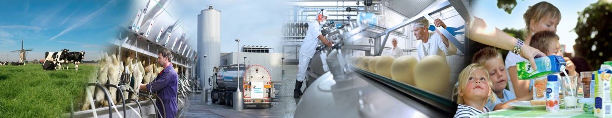 FrieslandCampina Germany GmbH